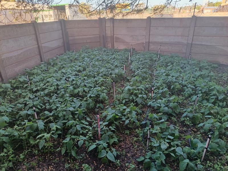 Commercial Property for Sale in Albertinia Western Cape